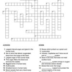 Horror Movie Crossword Puzzles Printable Halloween Crossword Printable