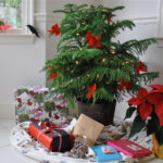 15 Of The Best Christmas Plants | Bbc Gardeners World Magazine Throughout Popular Christmas House Plant Crossword