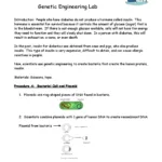 2017 Mon Crossword Puzzle   Answers And Clues Guide   Studocu With Regard To Hanker For As Christmas Cookies Crossword Clue