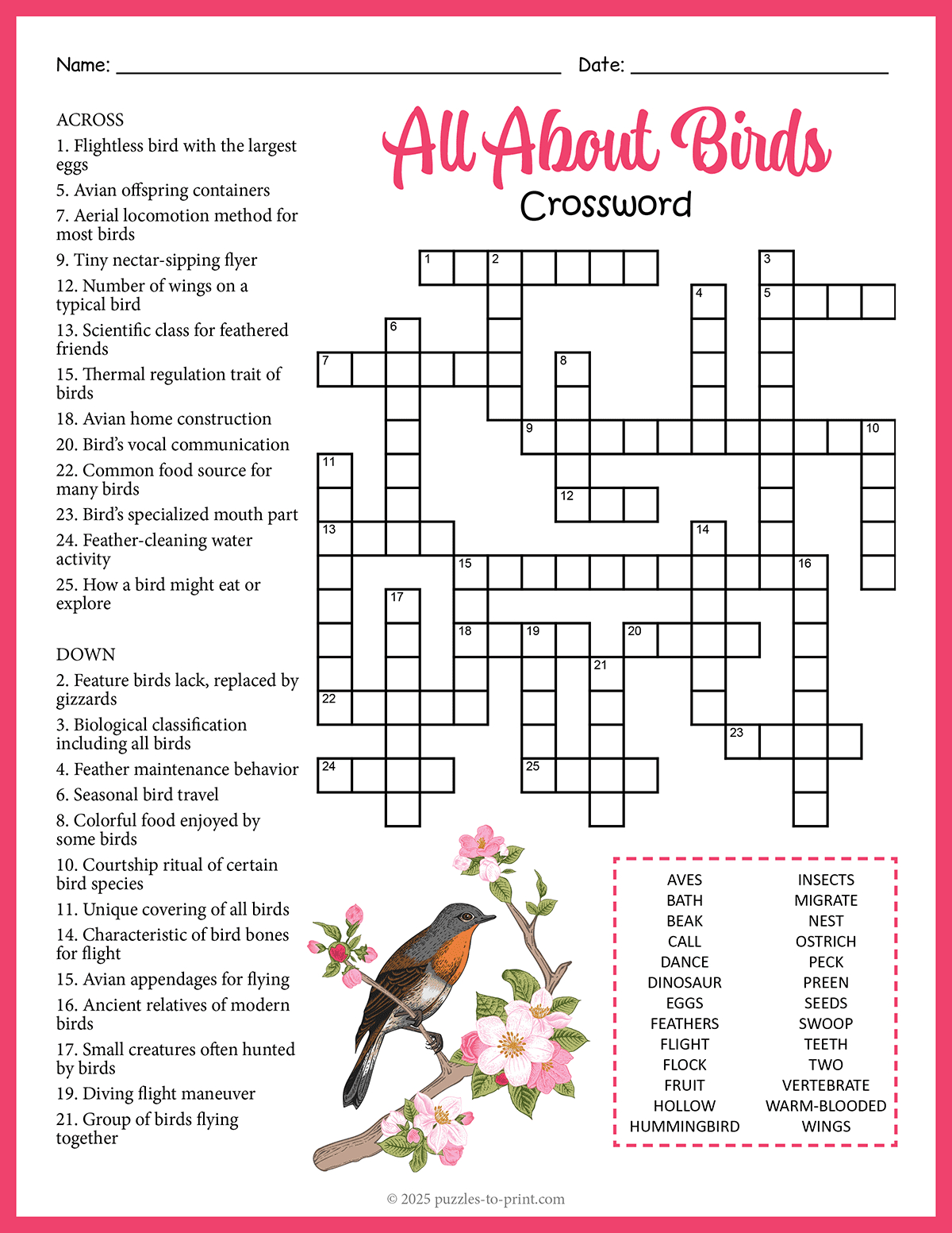 all about birds crossword within christmas bird crossword clue All About Birds Crossword within Christmas Bird Crossword Clue