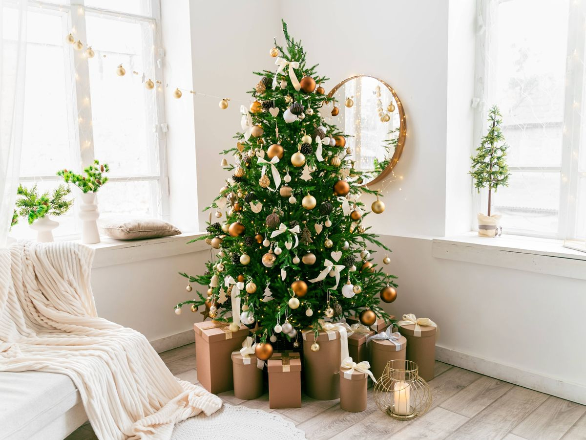 brits are just realising reason we put up christmas trees during within embellish like a christmas tree crossword Brits Are Just Realising Reason We Put Up Christmas Trees During within Embellish Like A Christmas Tree Crossword