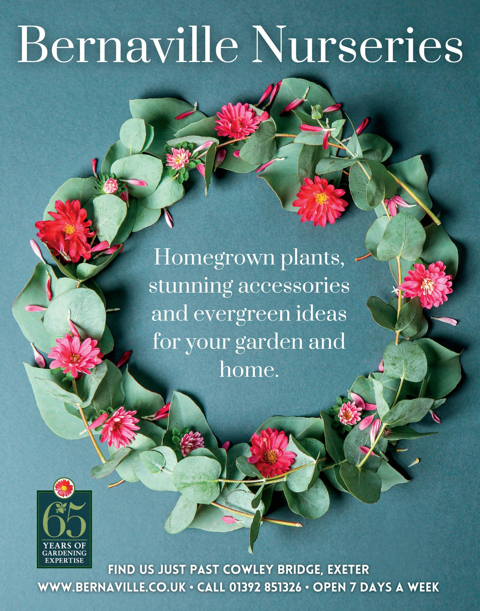 devon country gardener winter 2022country gardener issuu inside christmas wreath material daily themed crossword clue Devon Country Gardener Winter 2022Country Gardener - Issuu inside Christmas Wreath Material Daily Themed Crossword Clue