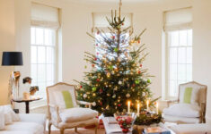Do Not Put Your Christmas Tree In A Bay Window' This Year Warning intended for Christmas Tree Trim Crossword