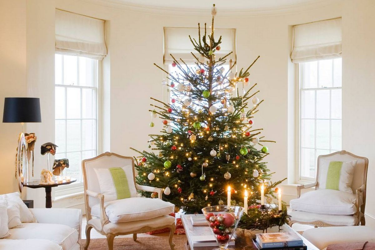 do not put your christmas tree in a bay window this year warning intended for christmas tree trim crossword Do Not Put Your Christmas Tree In A Bay Window' This Year Warning intended for Christmas Tree Trim Crossword
