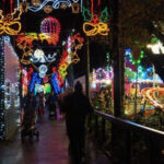 Five Sisters Zoo Will Flip The Switch On Christmas Lights With Regard To Christmas Light Locale Crossword