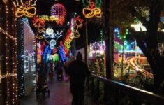 Five Sisters Zoo Will Flip The Switch On Christmas Lights with regard to Christmas Light Locale Crossword