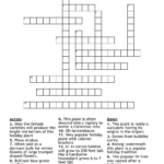 Holiday Plants And Flowers Crossword   Wordmint For Popular Christmas House Plant Crossword