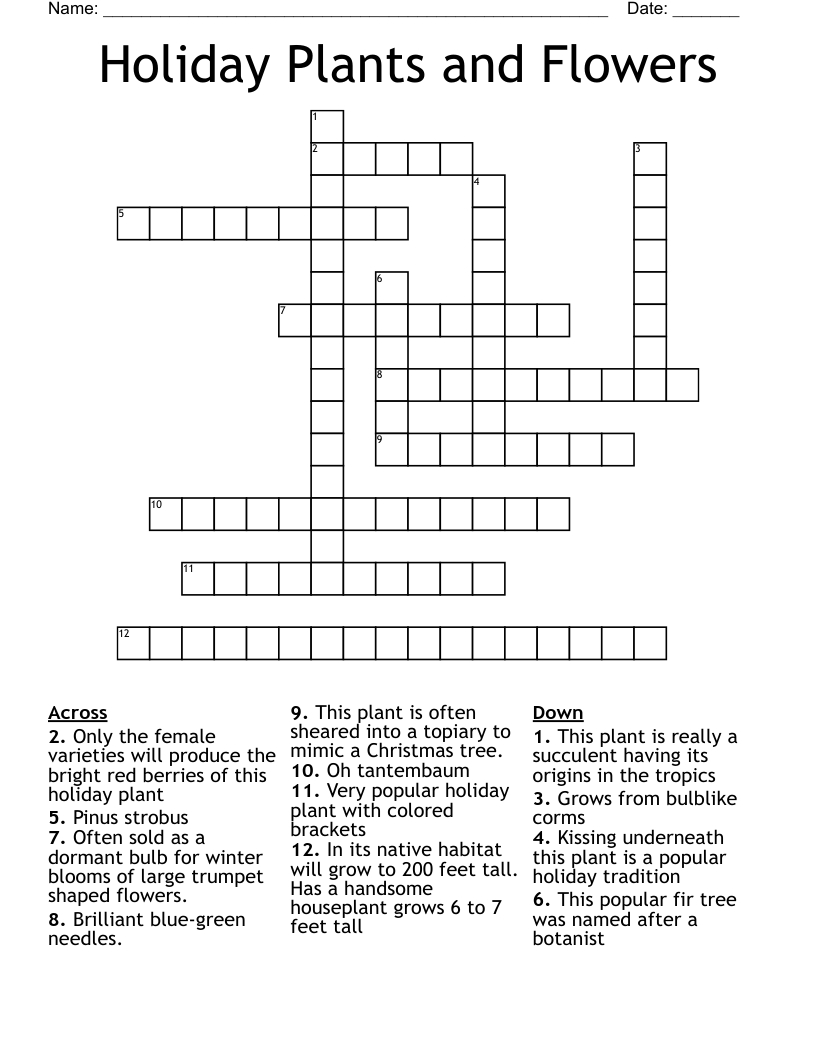 holiday plants and flowers crossword wordmint for popular christmas house plant crossword Holiday Plants And Flowers Crossword - Wordmint for Popular Christmas House Plant Crossword