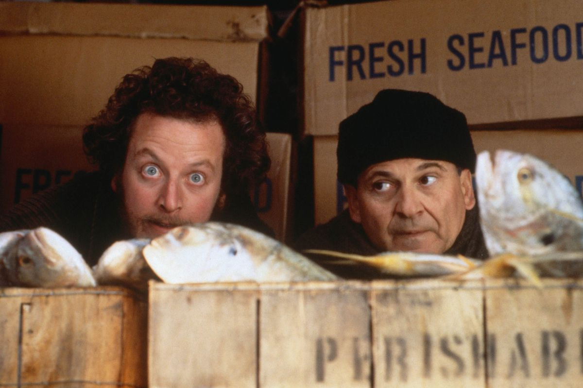 home alone villain unrecognisable 34 years after christmas film pertaining to christmas story villain crossword Home Alone Villain Unrecognisable 34 Years After Christmas Film pertaining to Christmas Story Villain Crossword