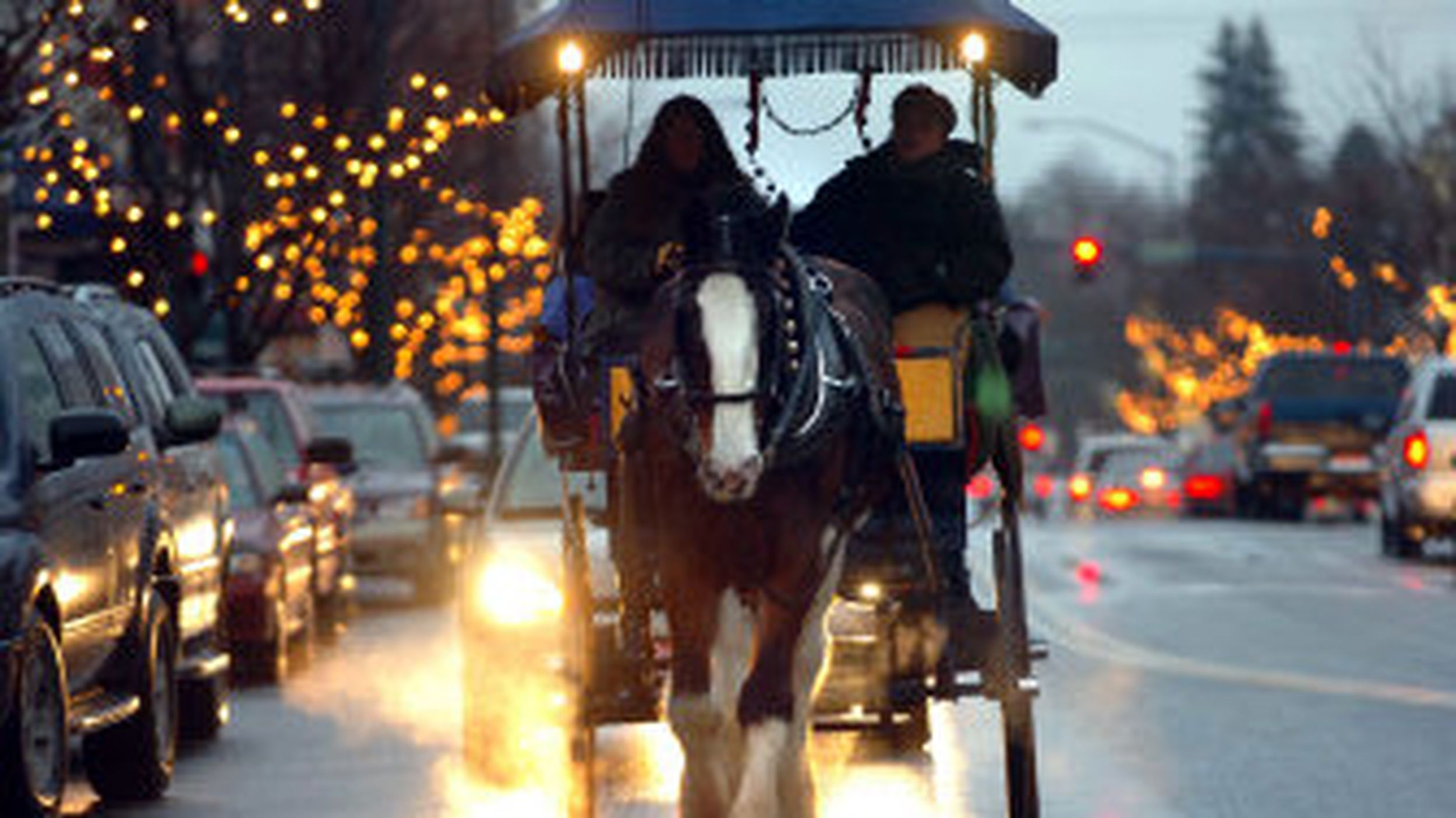 horse drawn rides delight for horse drawn carriages delivering christmas trees crossword Horse-Drawn Rides Delight for Horse Drawn Carriages Delivering Christmas Trees Crossword