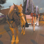 Km Herald 11 16 22Community First Media   Issuu Throughout Horse Drawn Carriages Delivering Christmas Trees Crossword Clue