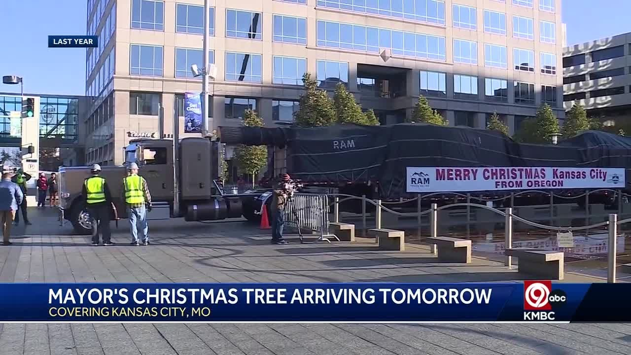 mayors christmas tree arriving in kansas city on thursday within kansas city christmas tree crossword clue Mayor'S Christmas Tree Arriving In Kansas City On Thursday within Kansas City Christmas Tree Crossword Clue