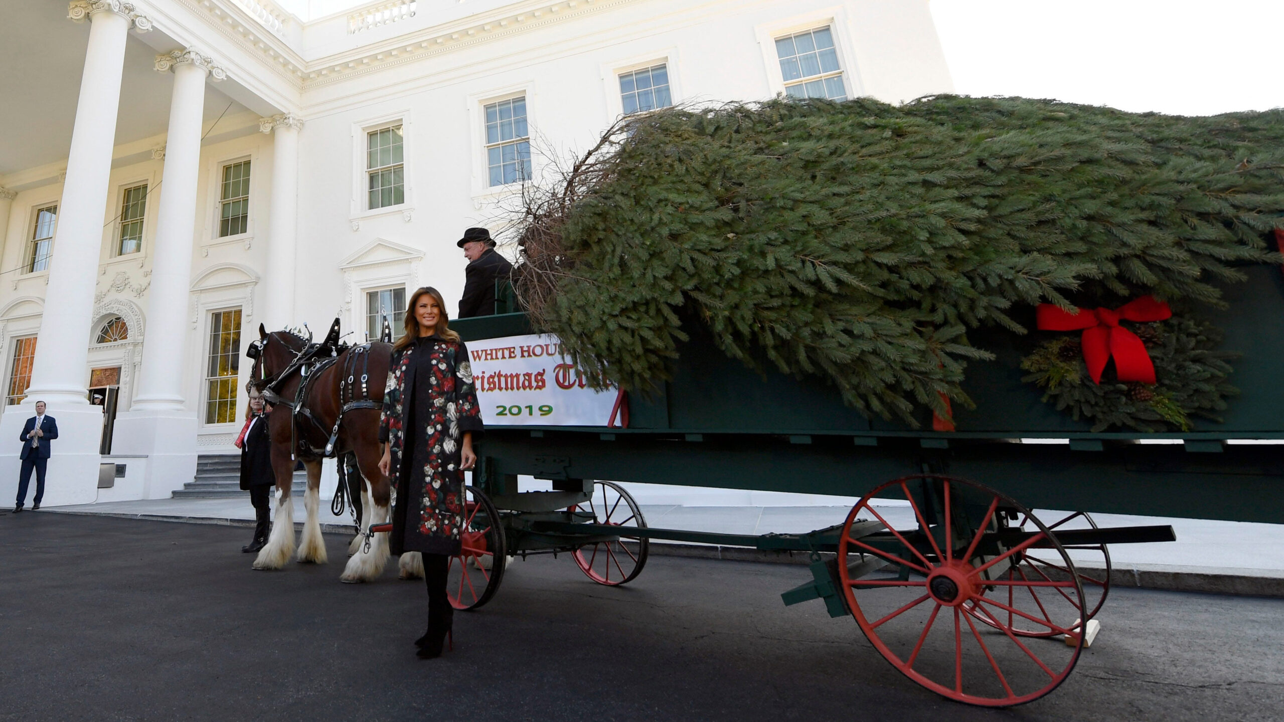 melania trump welcomes christmas tree to white house fox news inside horse drawn carriages delivering christmas trees crossword scaled Melania Trump Welcomes Christmas Tree To White House | Fox News inside Horse Drawn Carriages Delivering Christmas Trees Crossword