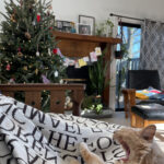 Rex Parker Does The Nyt Crossword Puzzle: Hungarian Violinist Regarding Christmas Baubles Often Nyt Crossword Clue