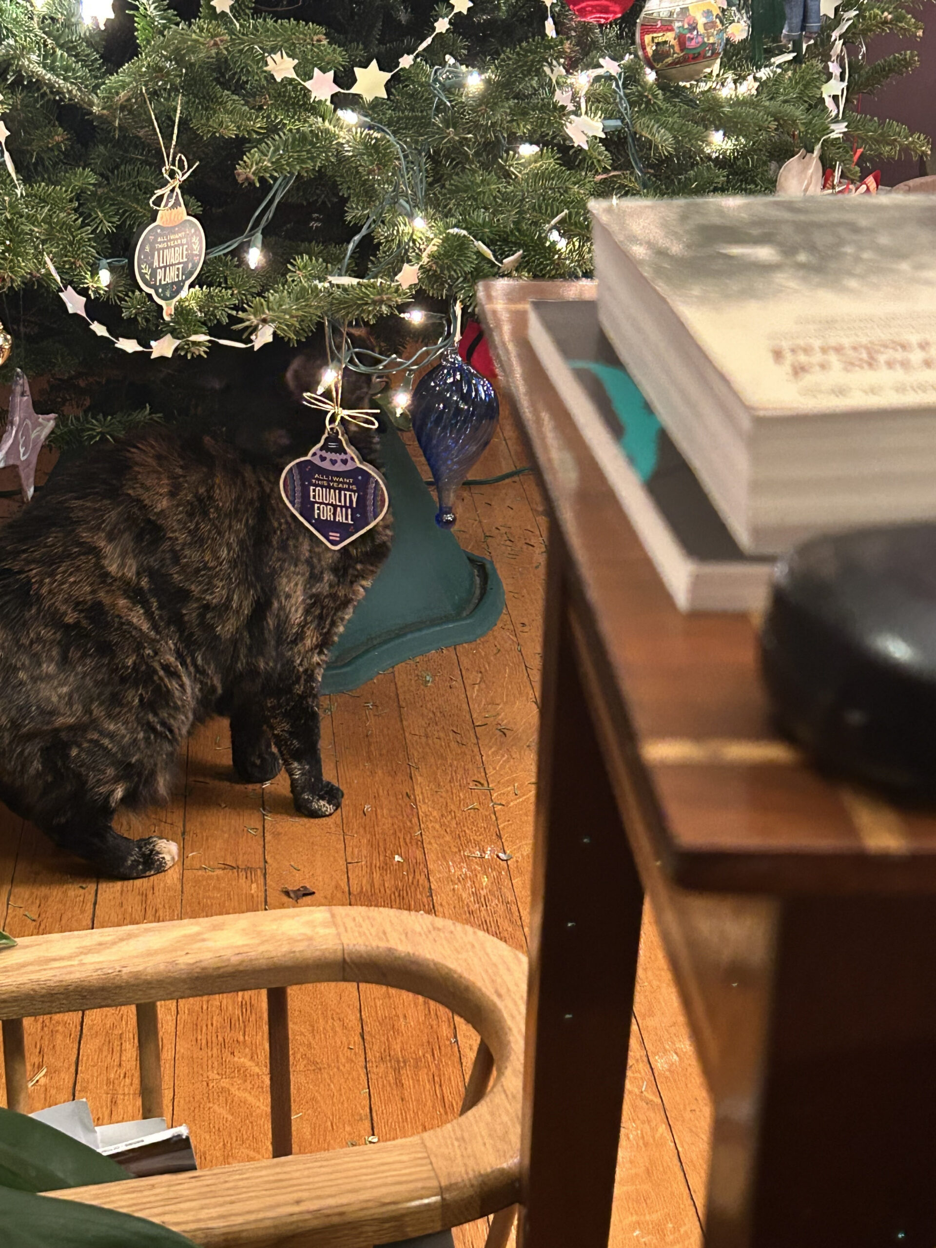 Rex Parker Does The Nyt Crossword Puzzle: Infamous Bushranger with regard to Gunk On A Christmas Tree Crossword