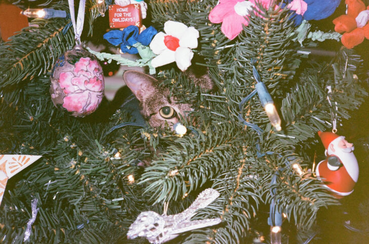 Gunk on a Christmas Tree Crossword Gunk on a Christmas Tree Crossword