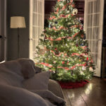 Rex Parker Does The Nyt Crossword Puzzle: Stiff Bristle Throughout Christmas Centerpiece Nyt Crossword