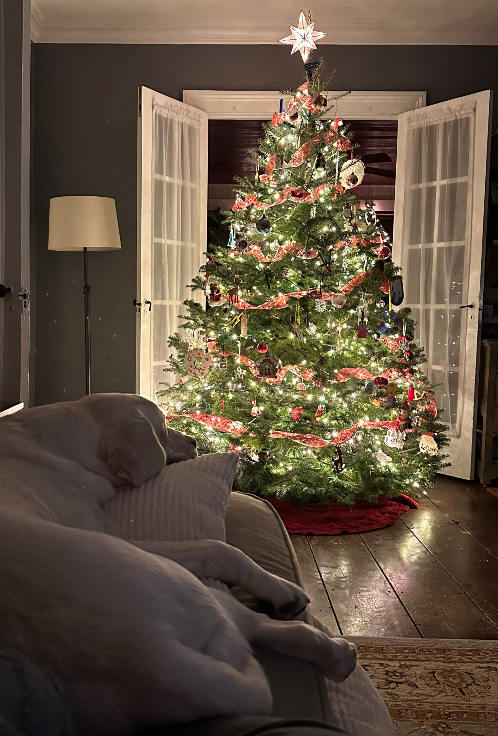Rex Parker Does The Nyt Crossword Puzzle: Stiff Bristle throughout Christmas Centerpiece Nyt Crossword