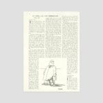 So Long, See You Tomorrow | The New Yorker Inside Christmas Song Milker Crossword