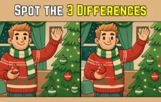Spot The Difference: Within 9 Seconds Spot The 3 Differences In within Spot For Christmas Decorations Crossword
