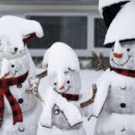 Storm Moving Into Northern Ontario, Quebec To Bring Strong Winds Intended For Christmas In Cremona Crossword