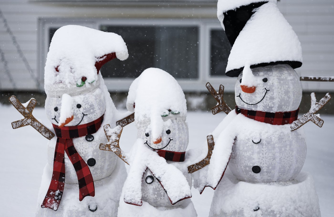 storm moving into northern ontario quebec to bring strong winds intended for christmas in cremona crossword Storm Moving Into Northern Ontario, Quebec To Bring Strong Winds intended for Christmas in Cremona Crossword