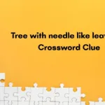 Tree With Needle Like Leaves Crossword Clue Irish Daily Mail Quick For Christmas Conifer Crossword Clue
