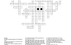 Trees Crossword – Wordmint within Christmas Tree Choice Crossword