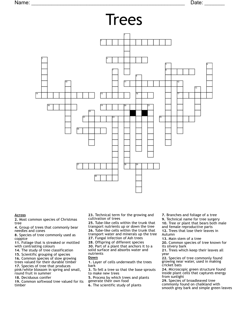 Trees Crossword - Wordmint within Christmas Tree Choice Crossword