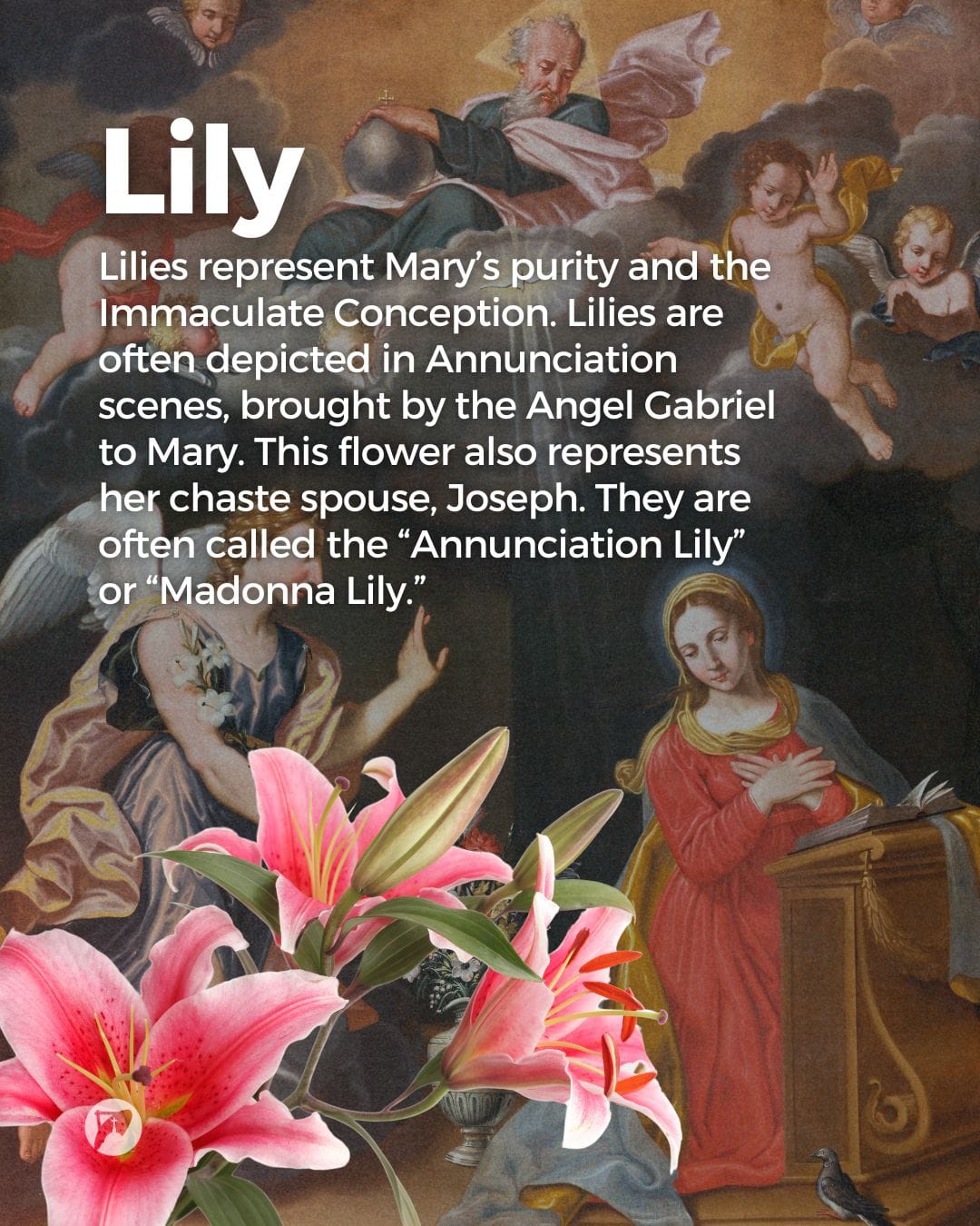 12 Flowers Dedicated To Our Lady What Each One Means