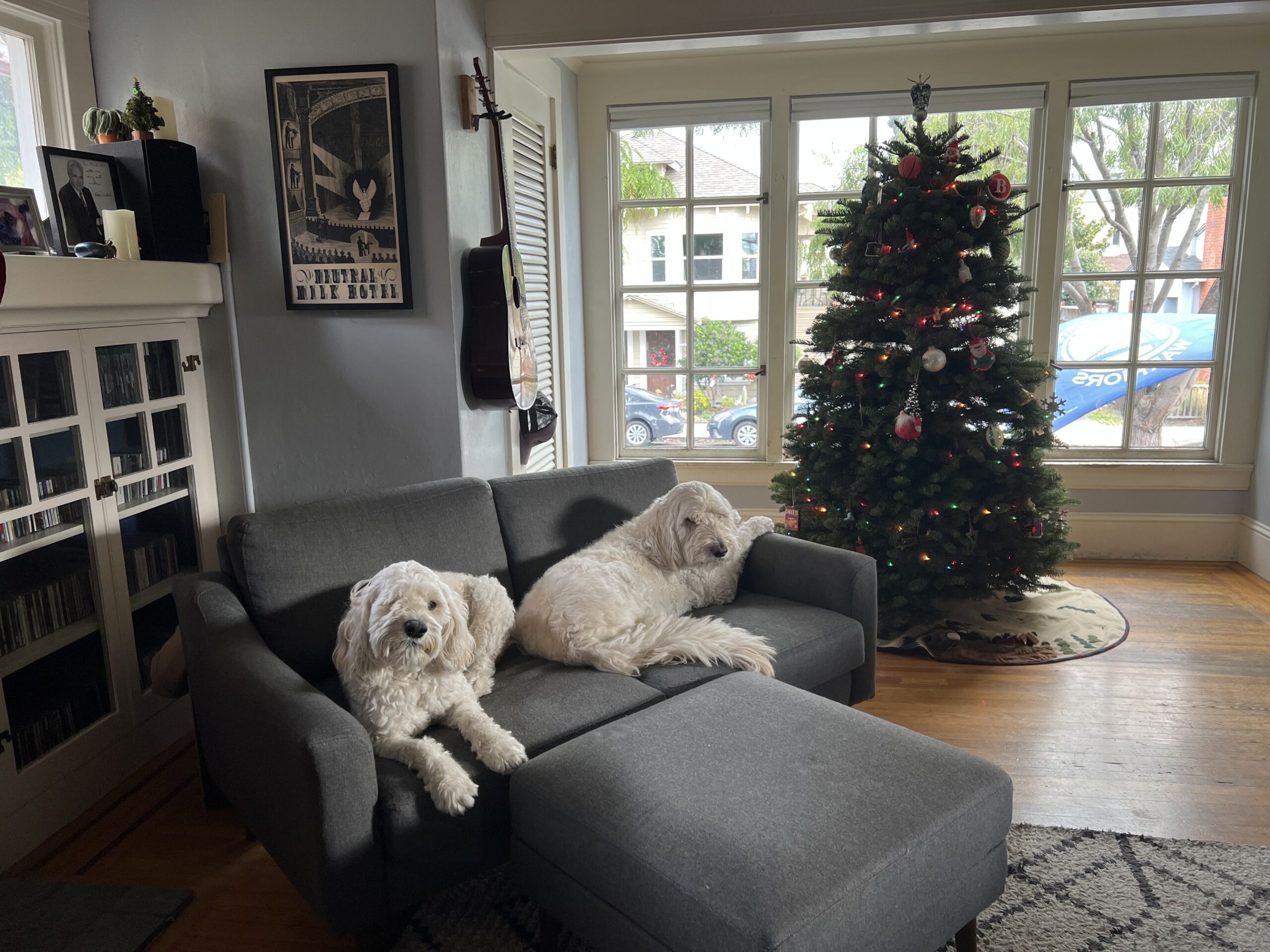 bit of christmas morning detritus nyt crossword