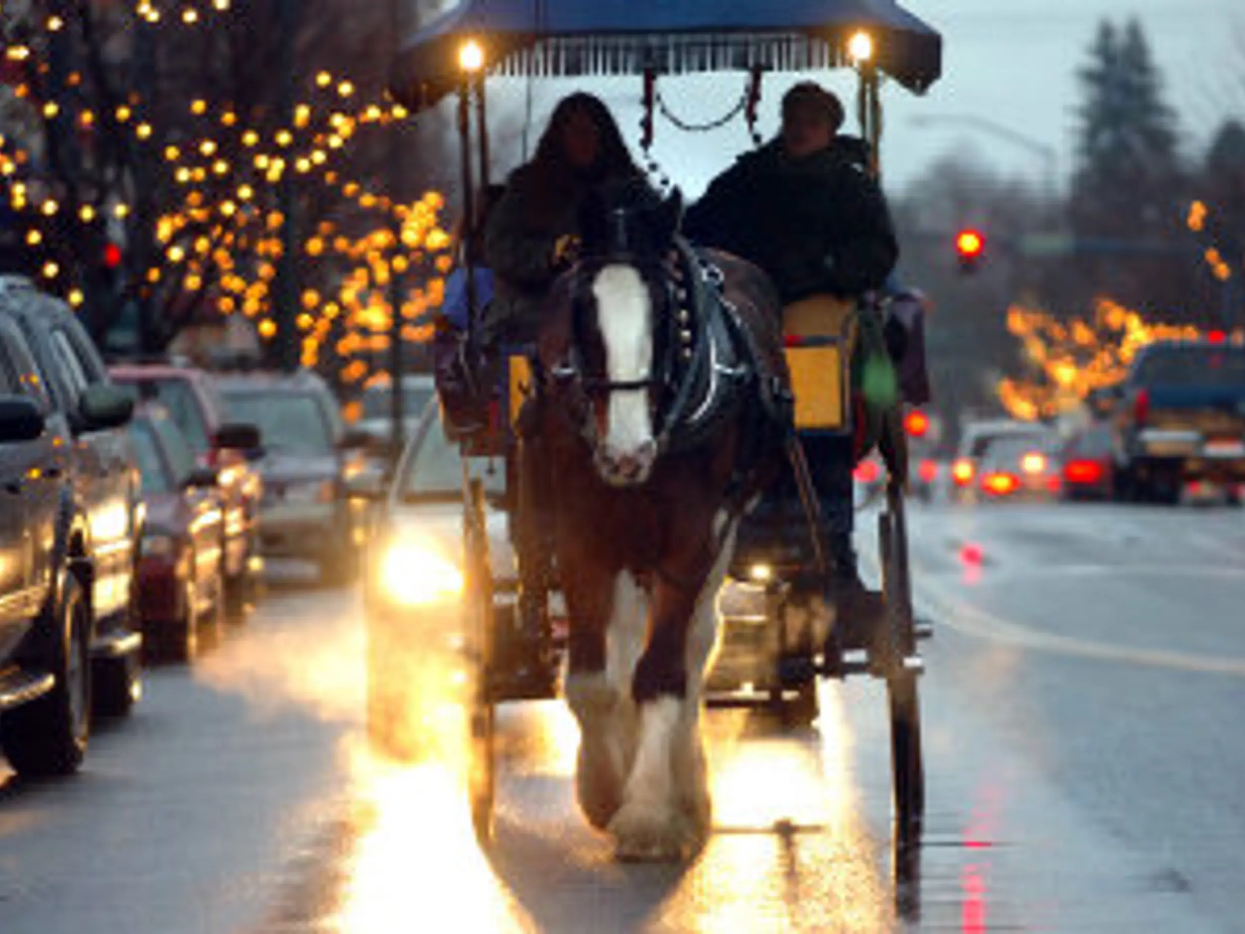 horse drawn carriages delivering christmas trees crossword