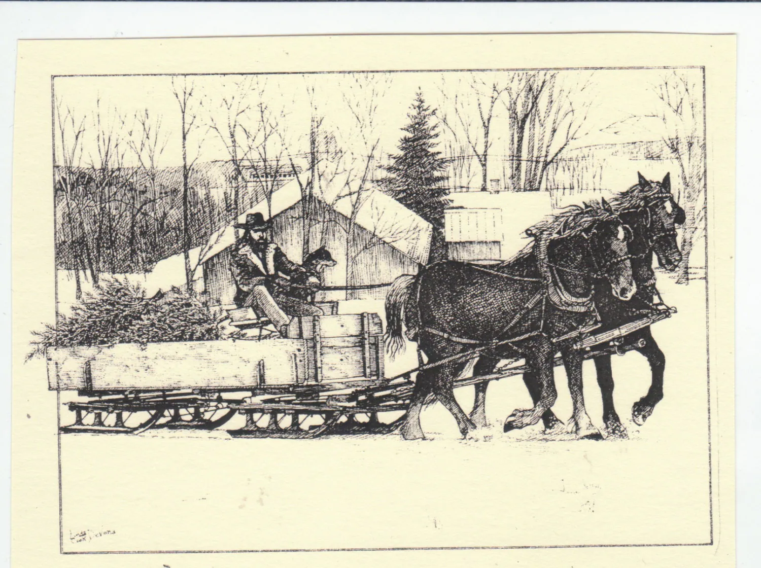 Horse Hauling Christmas Treesthis 6 Pack