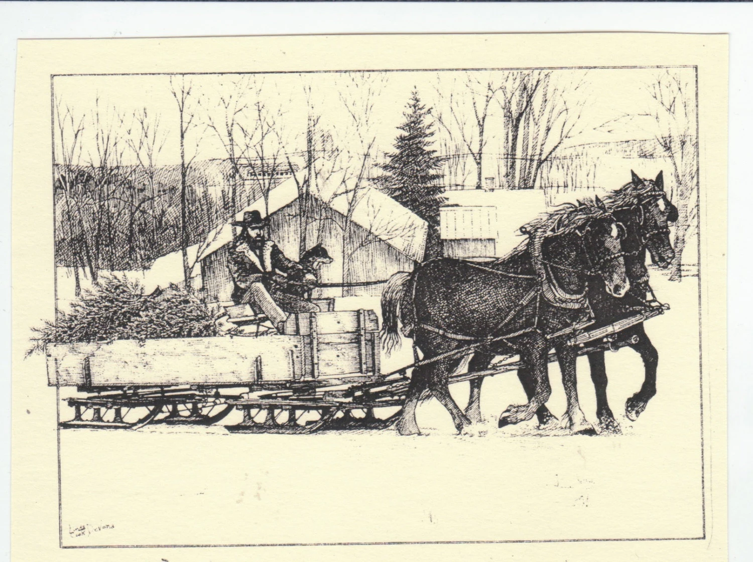 Horse Hauling Christmas Treesthis 6 Pack