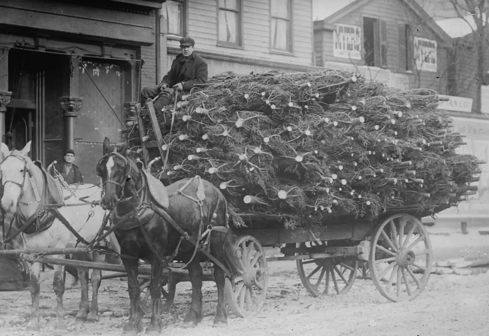 How Nyc Brought Christmas Tree Markets To The U S