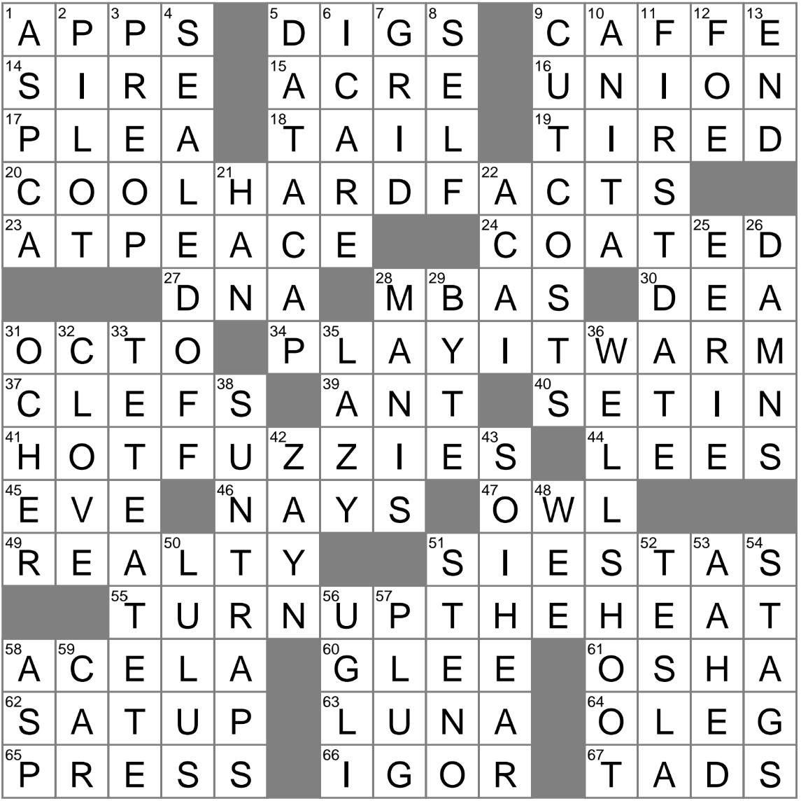 Orange Studder At Christmas Crossword Clue
