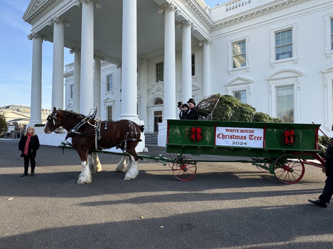 These Maryland Clydesdales Bring Holiday Cheer To The Atlantic Coast