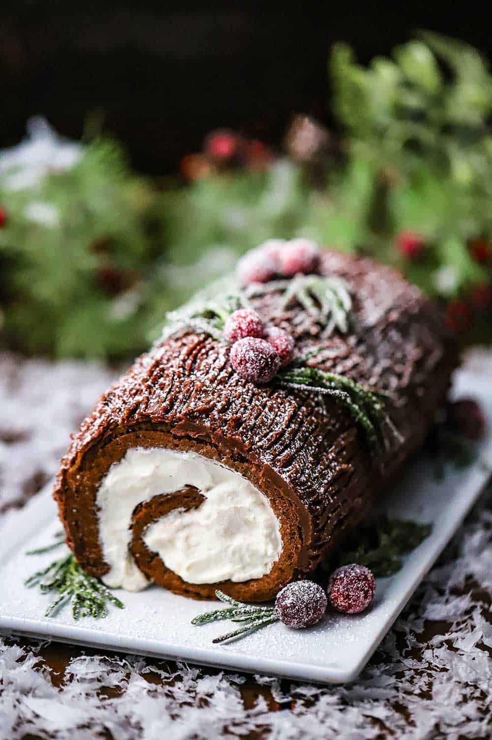Yule Log Buche De Noel