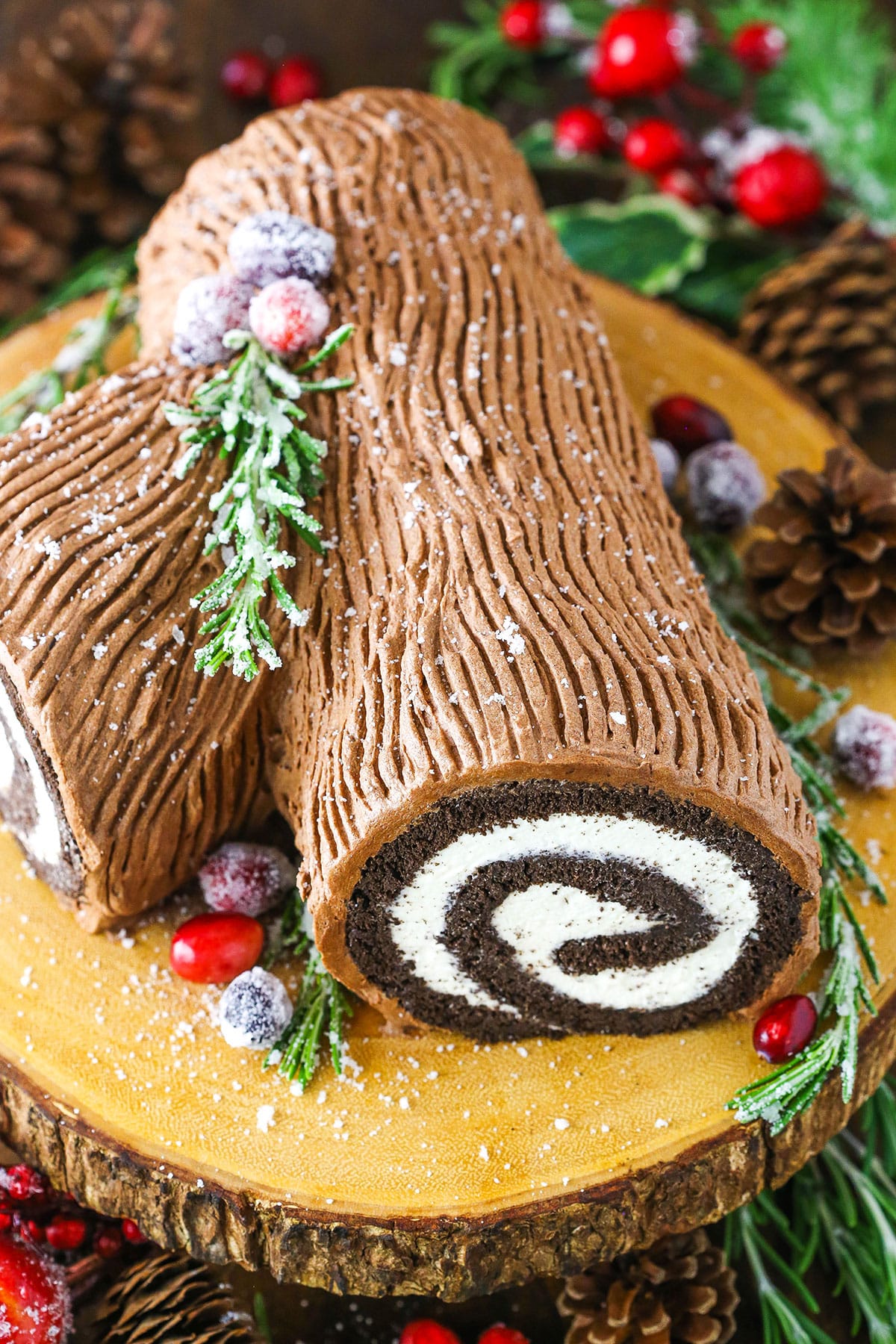 Yule Log Cake Buche De Noel